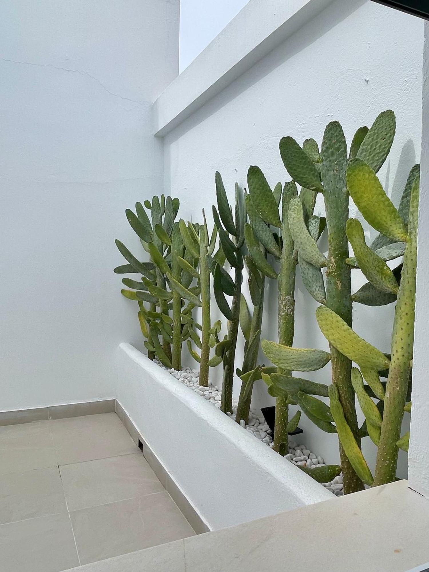 فندق H Bellavista موخاكار المظهر الخارجي الصورة